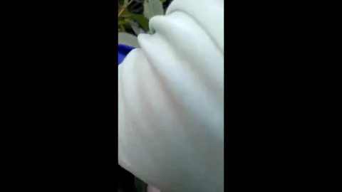 Desi dehati girl gangbang sex in khet mms video