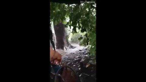 Desi paid randi outdoor sex doggy style